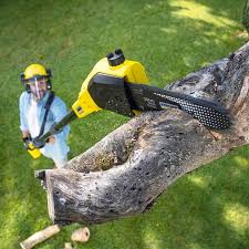 Best Lawn Pest Prevention  in Lake Wynonah, PA